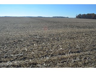 Tract 3 - FARMLAND AUCTION - 165.5+/- ACRES OFFERED IN 5 TRACTS OR COMBINATIONS IN EAST ALLEN COUNTY